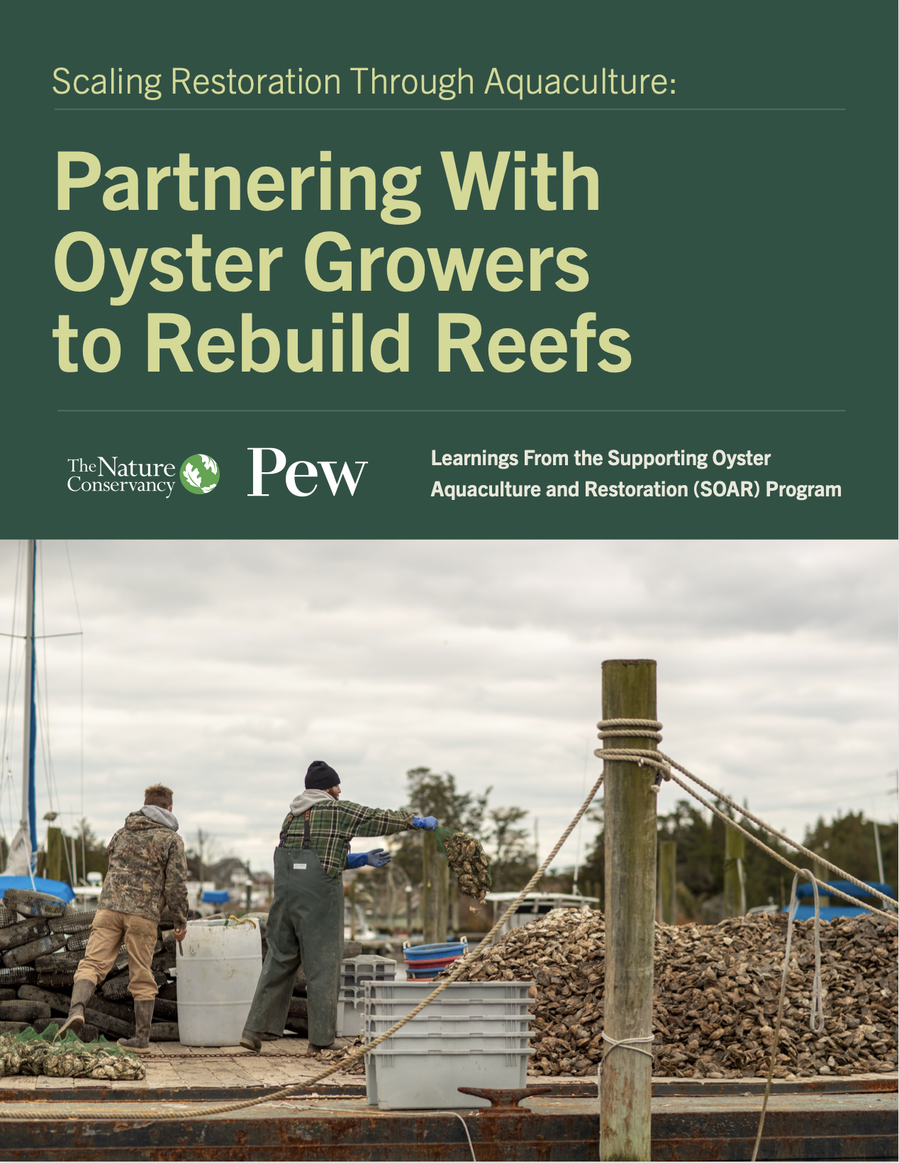 Partnering with oyster growers to rebuild reefs